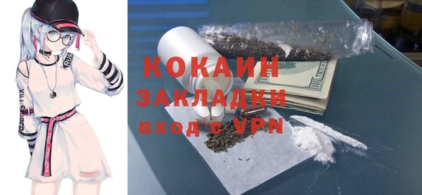 стафф Алзамай