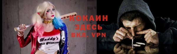 стафф Алзамай
