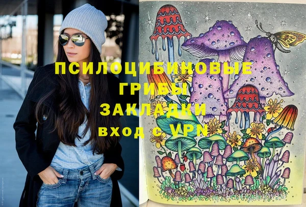 ECSTASY Алексеевка